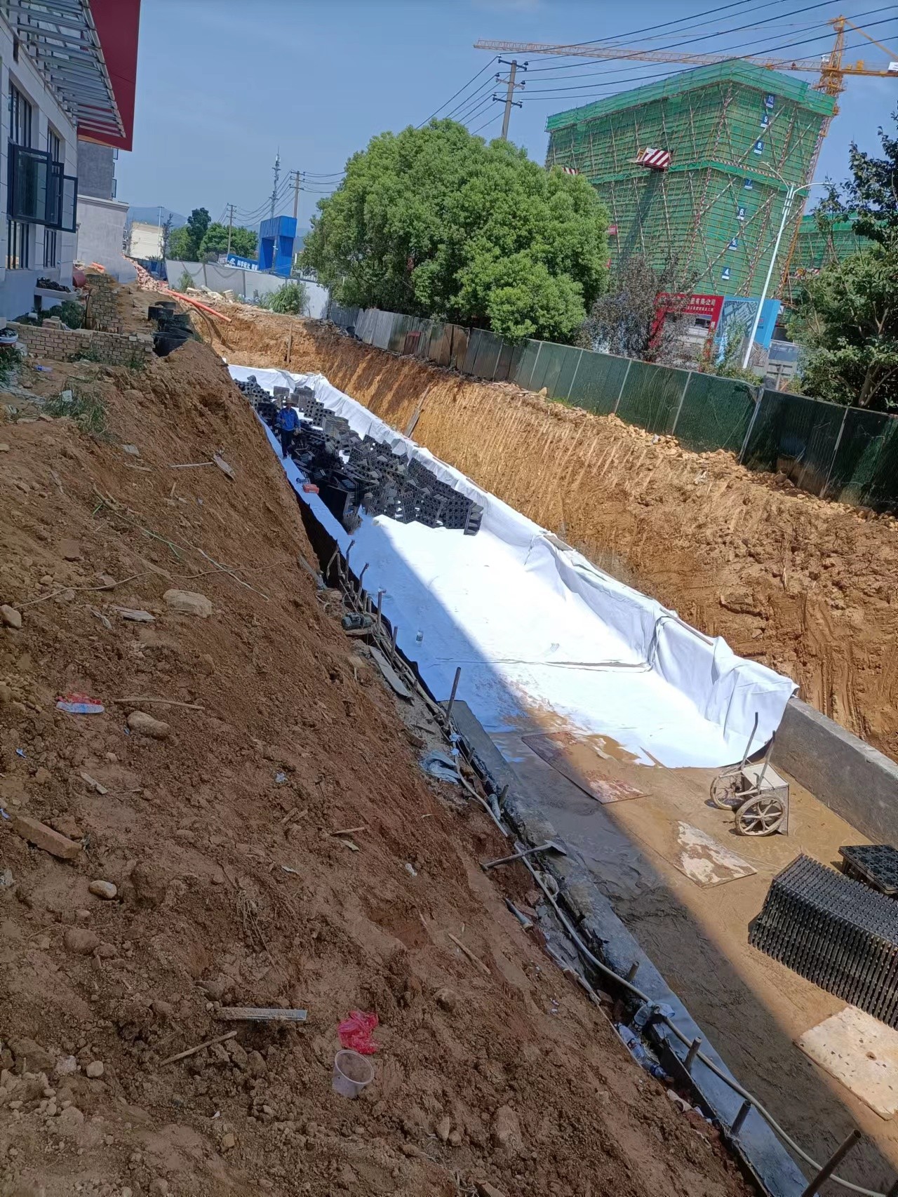 1661325783178165.jpg 2_副本.jpg